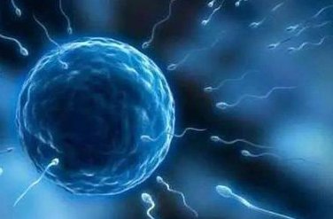 兰州大学第一医院试管助孕怎么样？2026试管助孕费用讲解