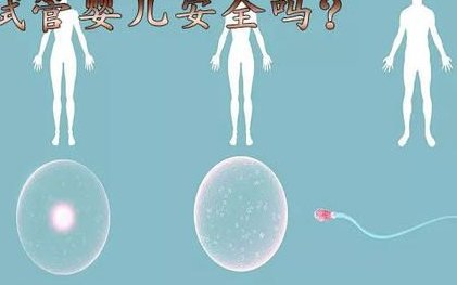 韶关妇幼保健院三代试管成功率揭秘，费用明细与成功因素详解