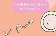 成都助孕服务预约攻略：揭秘前三甲预约全流程！