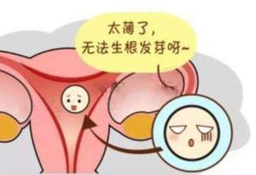 找泰国试管婴儿机构价格