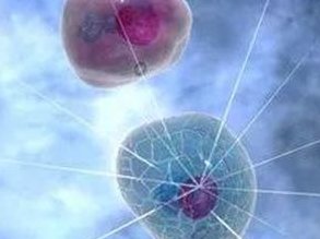 哪些国家允许单身做试管？国内单身试管医院推荐