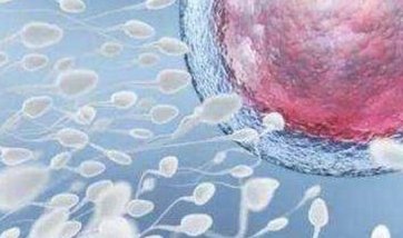 河南郑州最大的助孕公司，这其中三家都是不错的选择