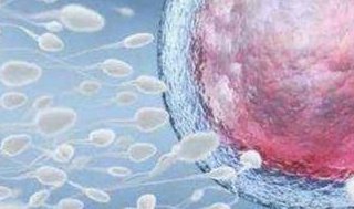 成都西囡做试管的费用